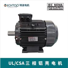 YE5/YE4ஐ늄әC Ч늙C UL/CSAJC TEFC/TEAO