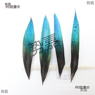 ��ȸë�c���c����ë�ϝ{��ȸ�������PƬDIY�ֹ��Ʒ�b�����̫��