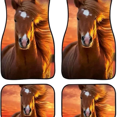 a generation of hair, Avtomobil döşəmə paspasları - car-floor-mats-32-3545-4868cm-two-pairs-of-a-total-of-four-pieces