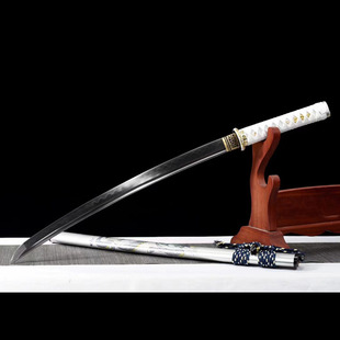 ��Ȫ�е����ձ���ʿ���߲�̵�T10����һ�w����������ղ�δ�_��