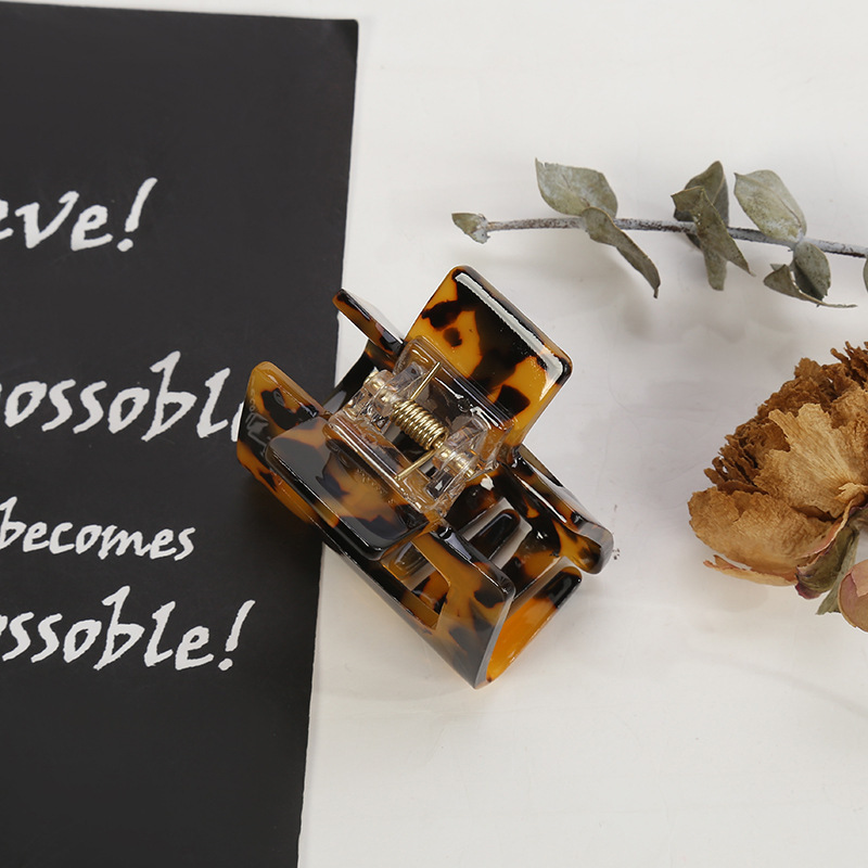 Forcina per capelli in acetato Corea del Sud ins updo top clip elegante fermaglio per capelli ragazza indietro testa accessori per capelli in magazzino all'ingrosso_voghion.com