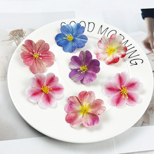�����zƬ��С���Ļ��^ diy�ٔ������^��������ϼٻ��zӰ��ˇ�[��