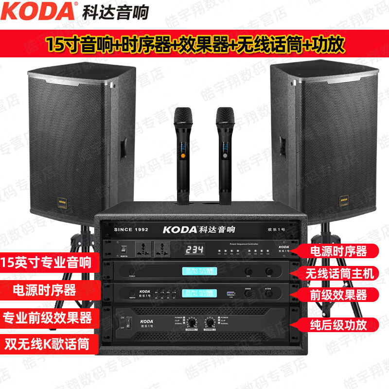 Qisheng プロフェッショナルワイヤレスマイクホーム 1 対 2 マイク ktv ステージパフォーマンス会議マイクマイク|undefined
