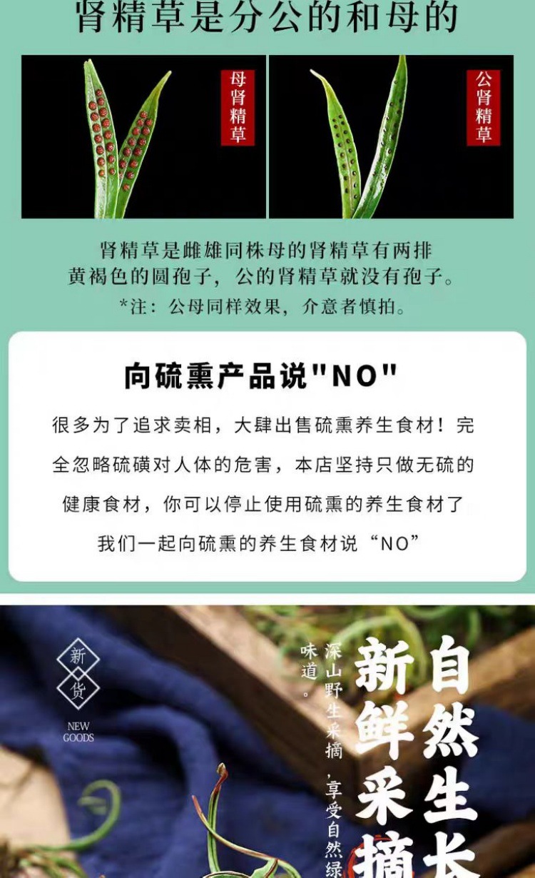 Wild Huashi Cao & Shenjing Cao (Lysimachia & Clerodendrum) — Changbai Mountain Dried Herb, 500g quality and texture