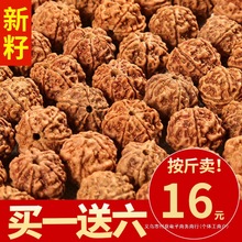 正宗尼泊尔爆肉大金刚菩提子通货5五6六瓣男士手串原籽散珠普提