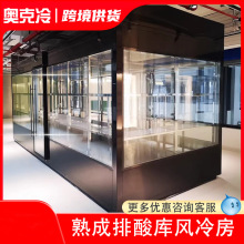 熟成排酸库风冷房牛肉柜解冻库商用批量牛羊肉智能干式牛排冷冻库