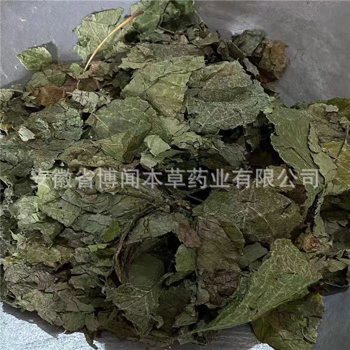 中药材杜仲叶 现货干净无杂质杜仲大货供应各冷背奇药材量大价优