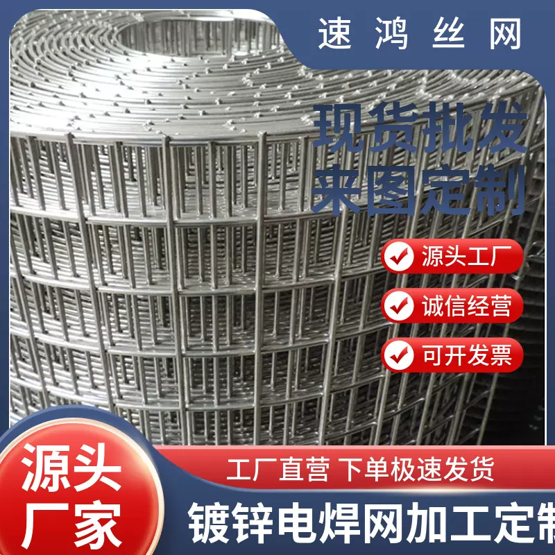 现货供应建筑内外墙抹墙抹灰网 热镀锌电焊网  方孔小丝铁丝网