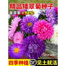 ջNӻɫǹղ˹շNļ_UͥԺ׻