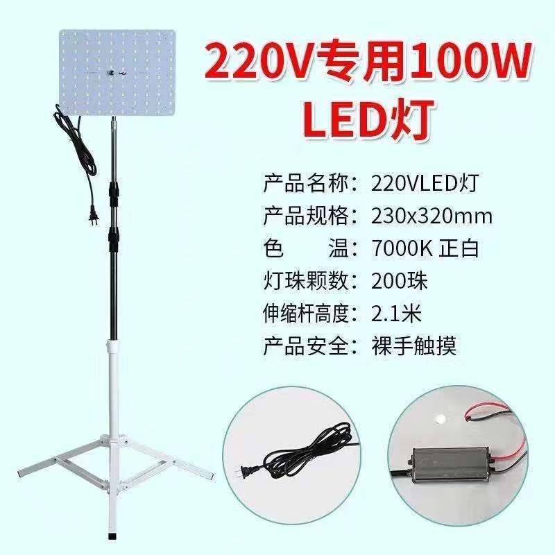 12v luz del mercado nocturno 48 v220 voltios batería carga led puesto luz súper brillante de baja tensión CC luz de emergencia exterior fábrica