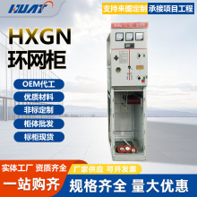 HXGN12�h�����w�^�������Ƅ�����10kv�߉��_�P�h�W���_�]��