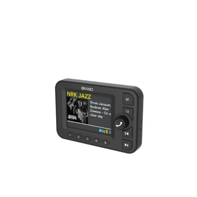 Radio, FM Modulyator