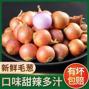 �F��С���[���[�^С�t�[�^���[�^ë�[�^С�A�����Դ�����Ş�����r