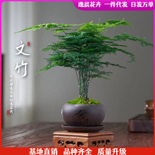 �������Ի���ֲ���҃��k����ˮ��͏d����С�Gֲ��ȫ�辰�ļ�����