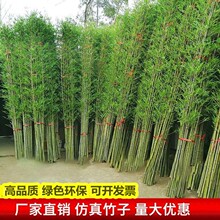 ���������҃��b������L�����ӓ����쾰����ë��Gֲ���Լ�ˮ��