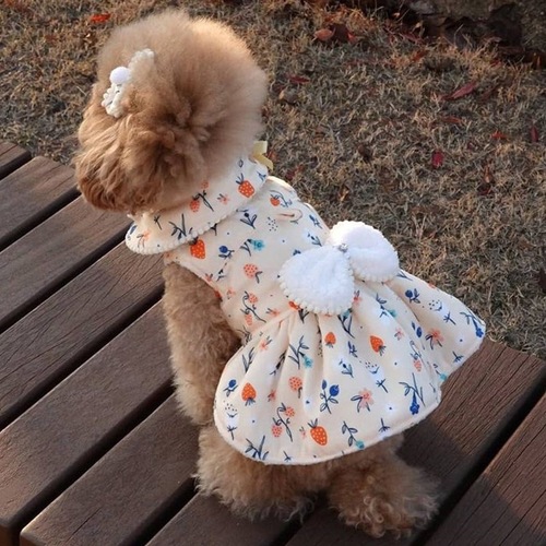 Princess Style Spring and Autumn Warm Thick Dog Dress Cat Two-Paw Skirt for Small and Medium Dogs Pet Dog Clothes