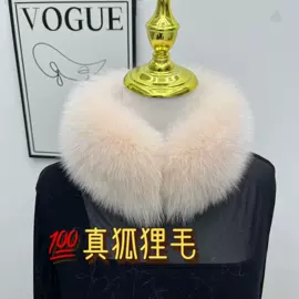 帽条;毛领;围脖