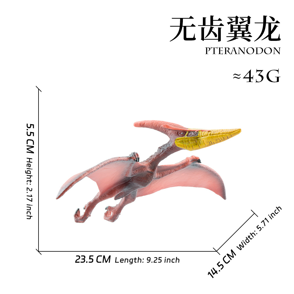 无齿翼龙【约43g】