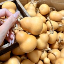 ��Ȼ���J�����ֶծ��κ��J���^��������Ѽ���Ʒ�b[���S�C�l؛