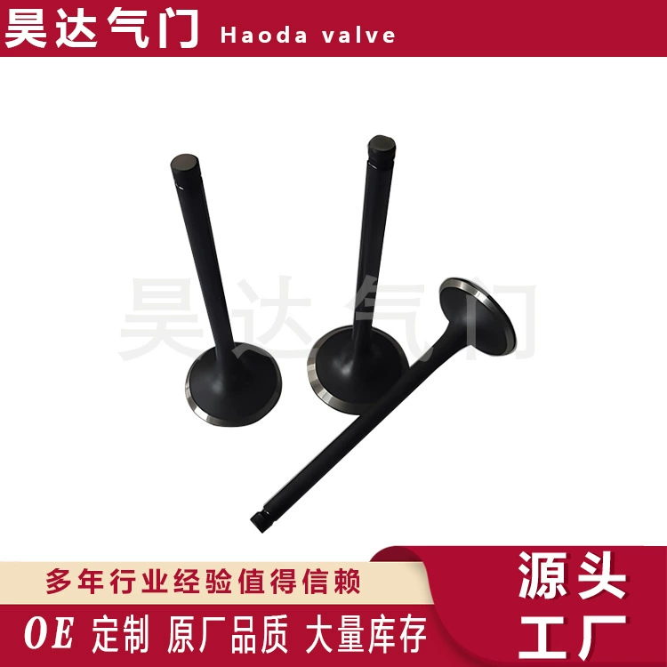 Прямая поставка источника клапанов для каждой модели 1371187306 1371587306