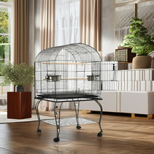 �������^�W�^�e�����ͽ����B�\�����w�Ќ�ľվ�Uʳ���_݆K-C01.1