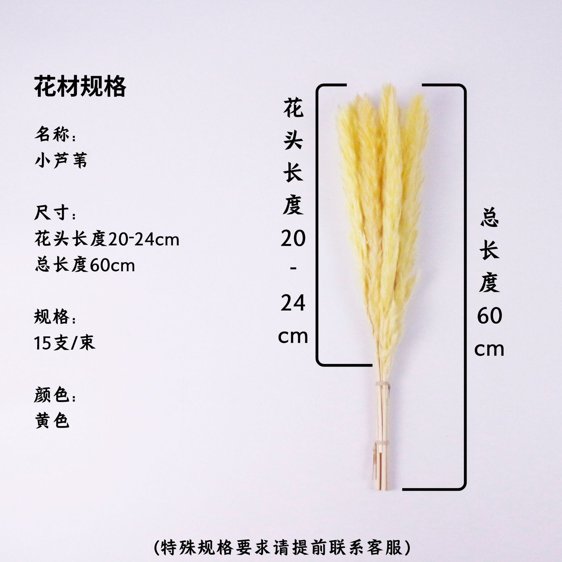 노란 꽃 머리 20-24cm