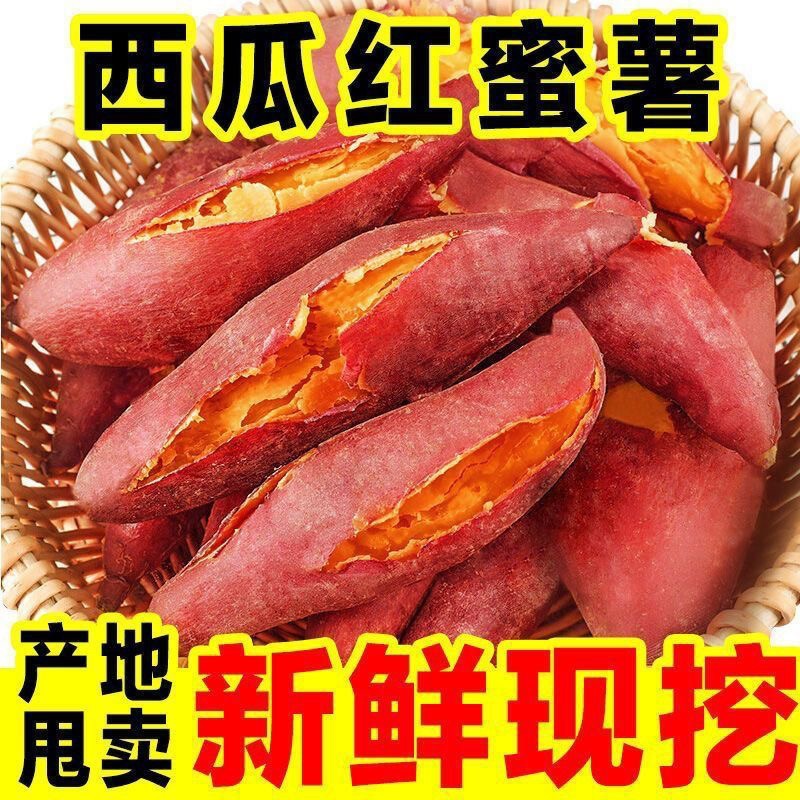 河南西瓜红蜜薯新鲜9斤板栗红薯农家自种红心地瓜糖心烤番薯蔬菜