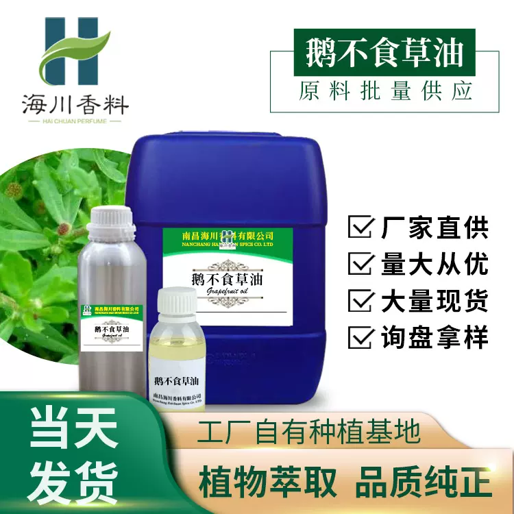 现货供应鹅不食草油单方精油植物精油化妆原料日化香料量大优惠