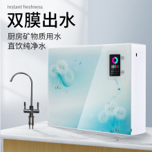 家用厨下直饮水机ro反渗透纯水机双水除泥垢净水器5级过滤净水机