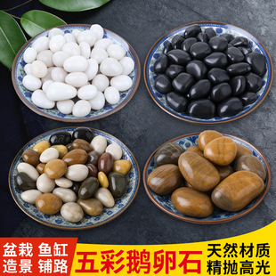 ��Ȼ�Z��ʯСʯ�^ʯ���껨ʯԭʯͥԺ�~�׻������ʯܛʯ��Ȼʯ