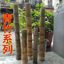 ���]ˮ��Ͳ������Ͳ�ß���ˮ�������ӏV�|ꖴ��خa��µ��Ͳ�L