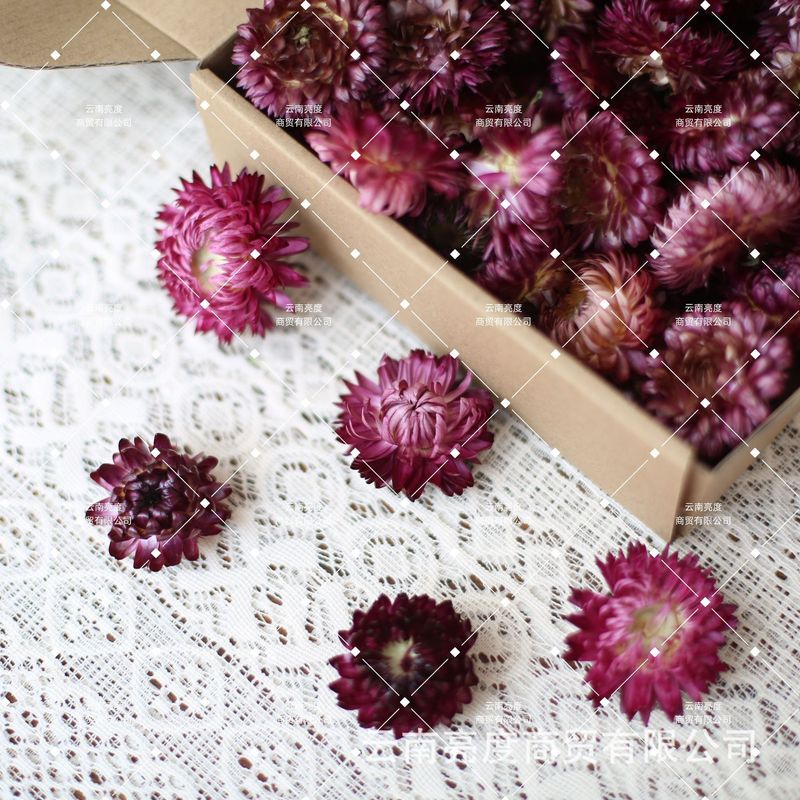 【小雏菊 麦秆菊】干花批发diy材料包真花花材手工拍照装饰七彩菊|undefined