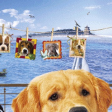 印刷三维立体,变换,卡片,名信片,3D,5D书签厂