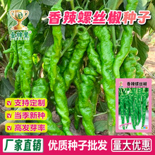 �����ݽz�����N���߲˷N�ӱ�Ƥ�ཷ�ļ�ͥԺ�������ݽz�������N��