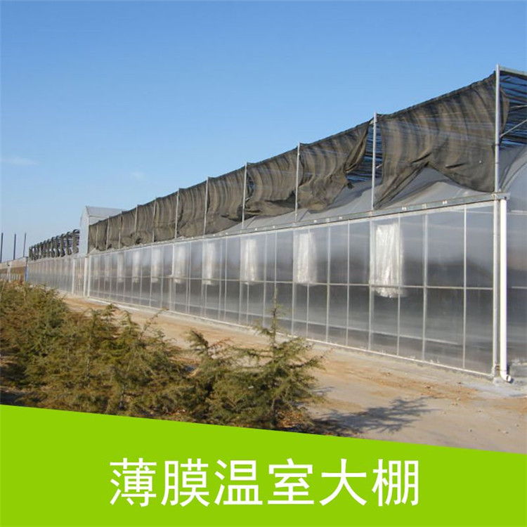 timg (24)_副本.jpg