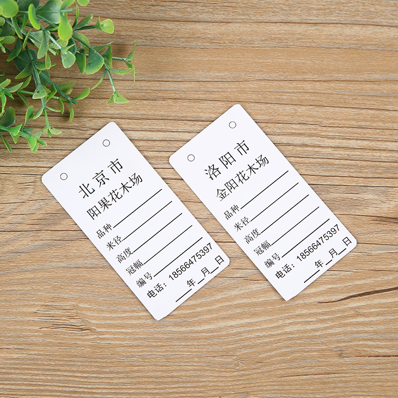 城市花鸟市场产品参数细节塑料标识牌订购印刷白色简约数字标签