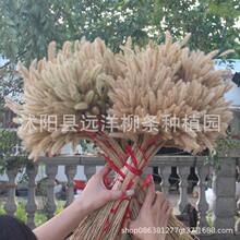 �羳�����ɻ�������β�Ͳ���β�ݻ��ļҾӿ��ȵ�[�������b�