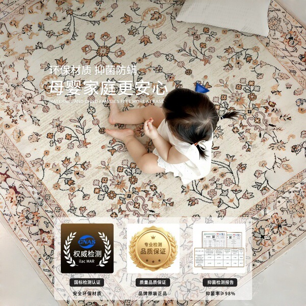 Modern waterproof retro antibacterial woven carpet for living room