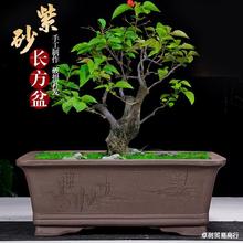 �L������ɰ�����R���辰���҃�ͥԺ���s�Gֲ�մɴ�̖���]
