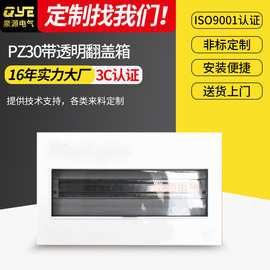 大型明装PZ30带透明翻盖箱 20回路钢板强电箱 家装照明配电开关箱