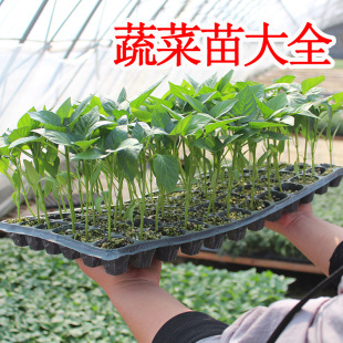 �����߲������������ļ��̨���������S�����Ͻz���Ϲϲ����Ϸ��N