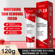 ȫӢ��SP10������ڿ羳���������̹�Ӧ�����೧�ֻ�����