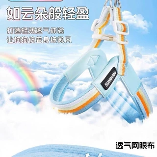 遛狗牵引绳y字型狗狗胸背带不勒脖可调节透气项圈中小型犬通用