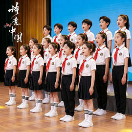 十一儿童大合唱演出服中小学生诗歌朗诵爱国主题少年有志表演服装