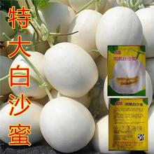 ����ɳ����ϷN�ӳ��������ش���ϷN�Ѱ׹ϷN�Ӱ�Ƥˮ��