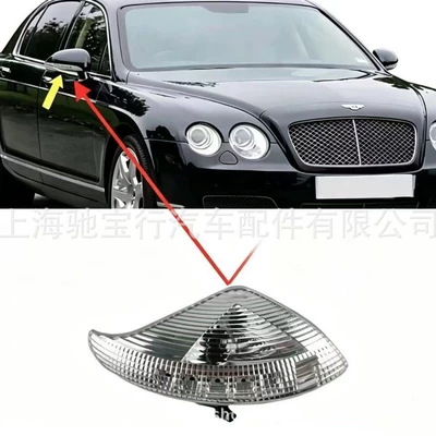 Suitable for Bentley Flying Spur, rearview mirror turn signal, rearview mirror light, 3W0949101, 3W0949102 (Dönmə işıqları)
