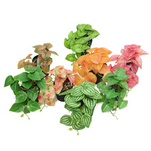 ����ֲ������پGֲ���Ԏ������҃��辰С�[���k���������b��쾰