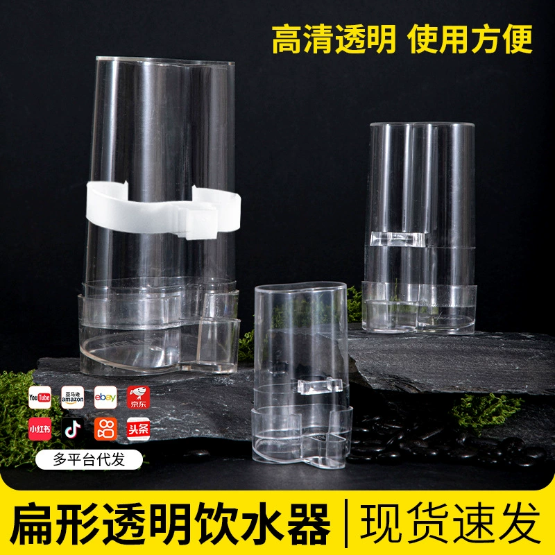 Автоматический питьевая вода для птиц Прозрачный маленький плоский кормушка для воды