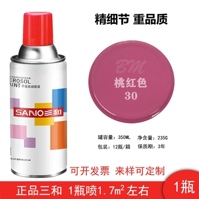 Red Home Metal Wood Anti-Rust – Avtomobil boyası - 30-pink-color-1-bottle-spray-paint