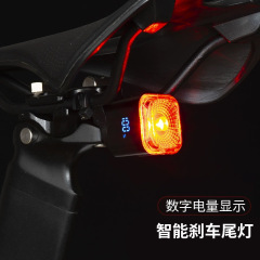 自転車インテリジェントブレーキ感知テールライトマウンテンロードバイクタイプ C 充電夜間走行警告灯サイクリング機器